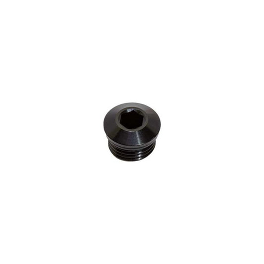 Snow Performance -6 ORB Plug - SNF-60006