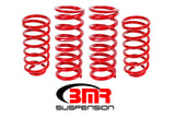 BMR LOWERING SPRINGS 1