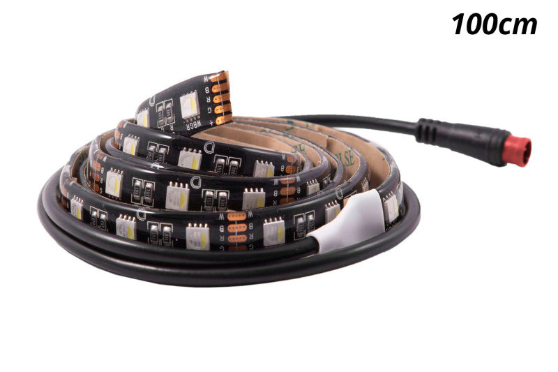 Diode Dynamics RGBW 50cm Strip SMD30 M8 Diode Dynamics
