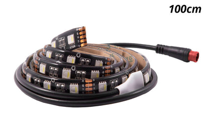 Diode Dynamics RGBW 50cm Strip SMD30 M8 Diode Dynamics