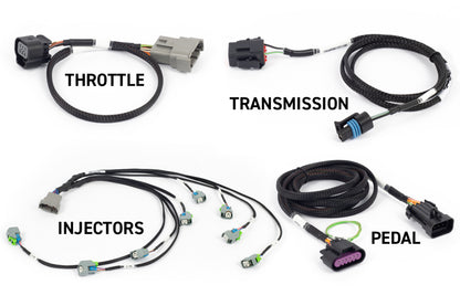 Haltech NEXUS Rebel LS Kit (Suits Gen IV) 6-Pin DBW Throttle/EV6 Injectors/Manual Transmission Haltech