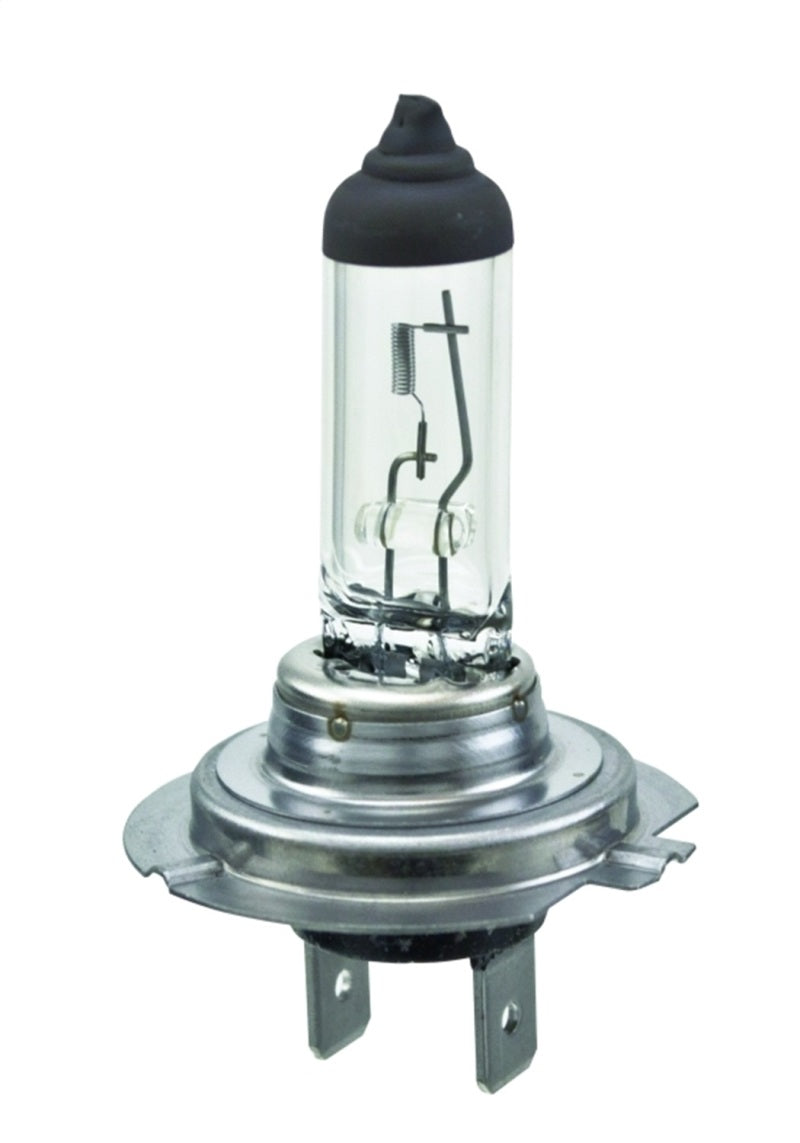 Hella Halogen H7 Bulb - eliteracefab.com