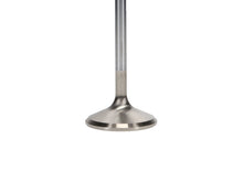 Load image into Gallery viewer, Manley Ford 4.6L 38.5mm Race Master &amp; Extreme Duty Exhaust Valves (Single)