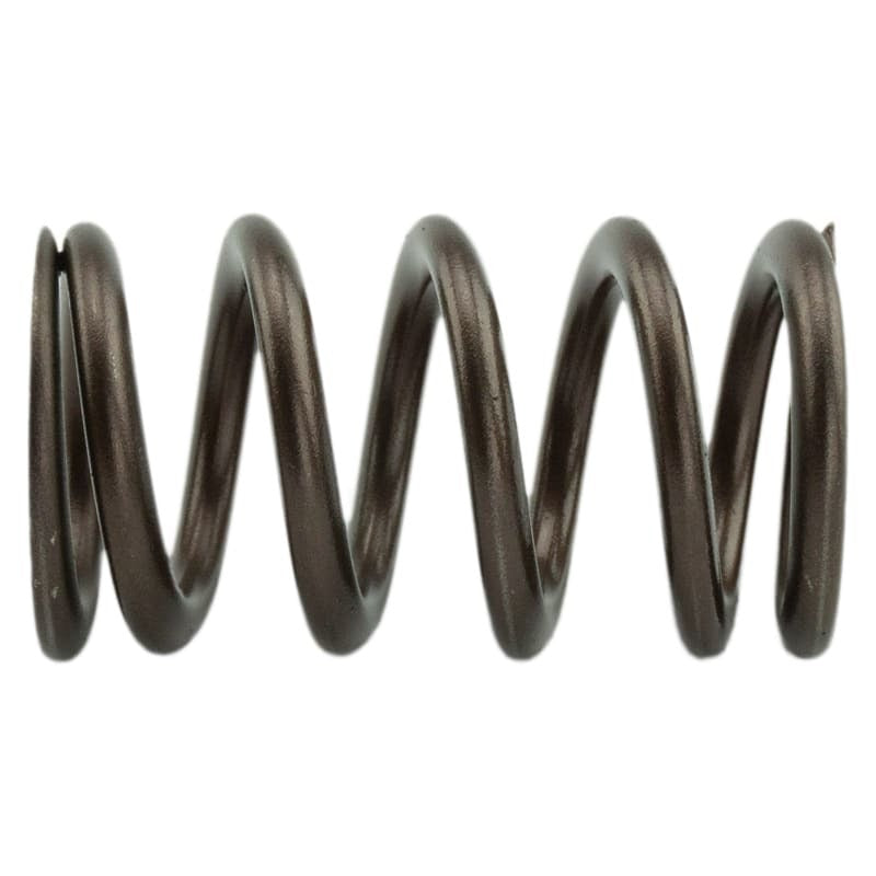 Industrial Injection 110 LBS Single Valve Spring Set - eliteracefab.com