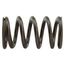 Load image into Gallery viewer, Industrial Injection 110 LBS Single Valve Spring Set - eliteracefab.com