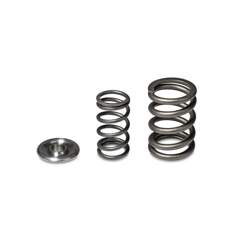 Skunk2 Alpha Series Honda/Acura H Series Valve Spring and Titanium Retainer Kit - eliteracefab.com