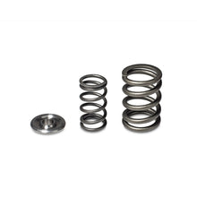 Load image into Gallery viewer, Skunk2 Alpha Series Honda/Acura H Series Valve Spring and Titanium Retainer Kit - eliteracefab.com