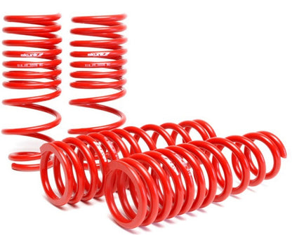 Skunk2 94-01 Acura Integra Lowering Springs (2.50in - 2.25in.) (Set of 4) - eliteracefab.com