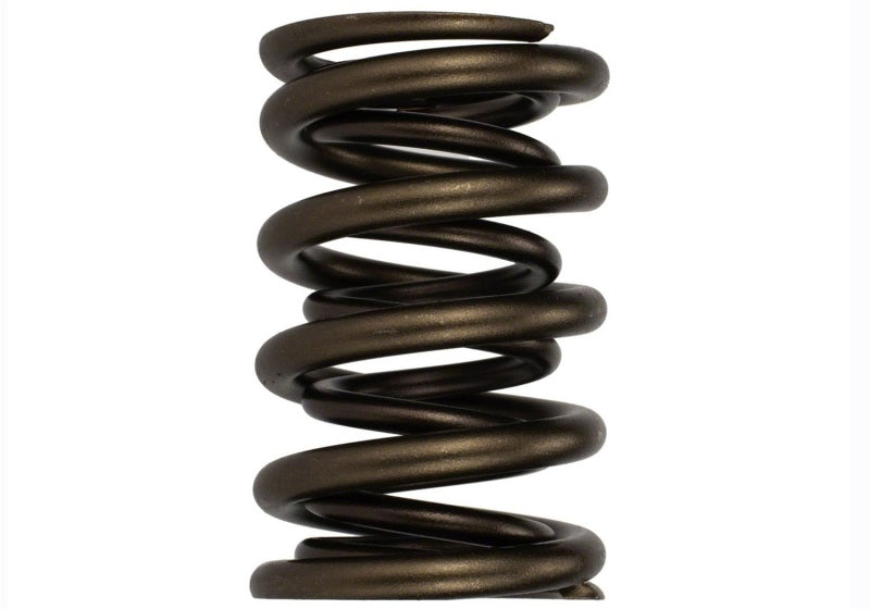 Ford Racing  Replacement Hydraulic Roller Valve Spring - Single (For M-6049-SCJA) Ford Racing