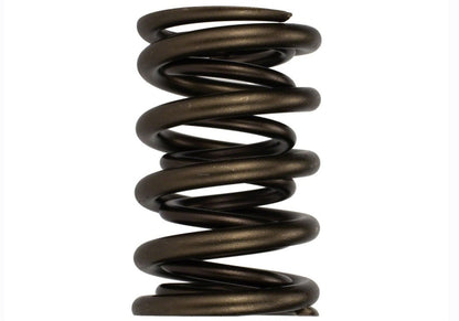 Ford Racing  Replacement Hydraulic Roller Valve Spring - Single (For M-6049-SCJA) Ford Racing