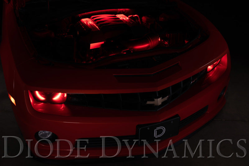 Diode Dynamics RGBW Engine Bay Strip Kit 2pc Multicolor Diode Dynamics