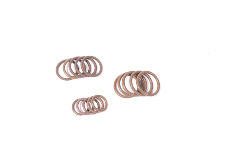 Radium Engineering O-Ring Multi Pack 6AN/8AN/10AN - eliteracefab.com