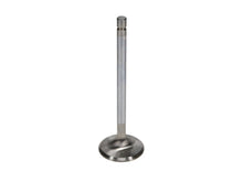 Load image into Gallery viewer, Manley Ford 289/302/351W 1.550 Race Flo Exhaust Valves