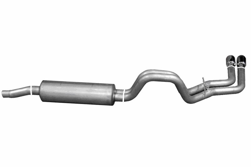 Gibson 02-03 Dodge Dakota SLT 3.9L 2.5in Cat-Back Dual Sport Exhaust - Stainless Gibson