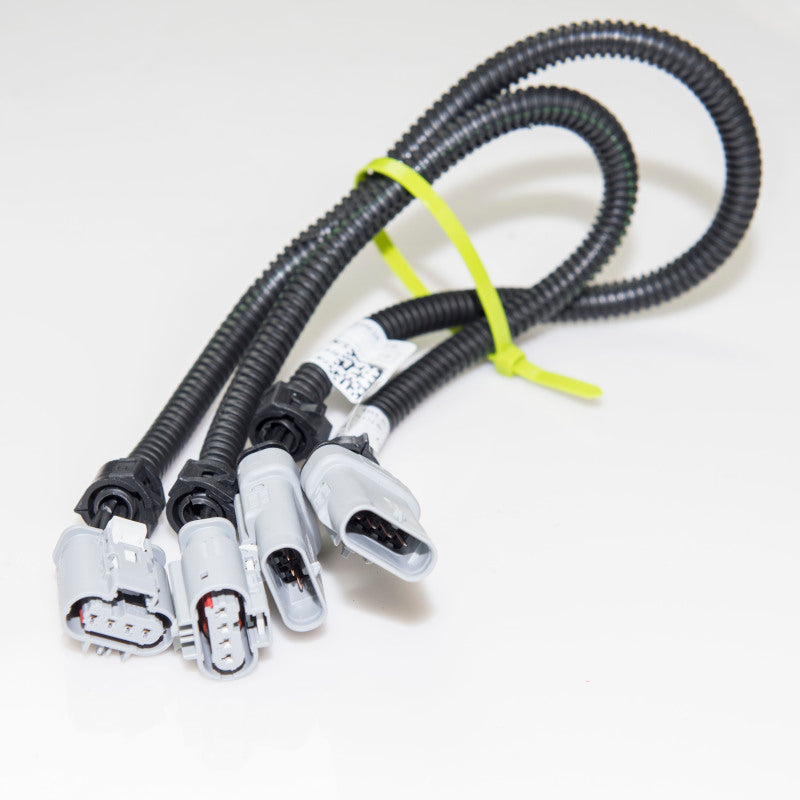 Kooks EX685-Z oxygen sensor extension kit for 2014-2019 Corvette C7 with rear O2 harnesses
