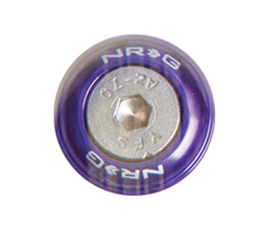 NRG Innovations Fender Washer Kit for Metal - Purple - 10pc – FW-110PP