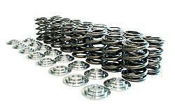 MANLEY 26165 Spring/Retainer Kit Includes Spring # 22165-16 and Retainer # 23165-12 - eliteracefab.com