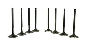 Supertech Honda F20C1/F22C1 Inconel Exhaust Valve - +0.5mm Oversize - Set of 8 Supertech