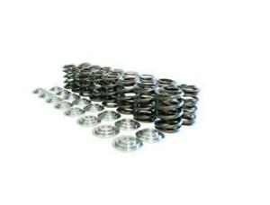 MANLEY 26180 Spring/Retainer Kit Includes Spring # 22180-16 and Retainer # 23180-16 - eliteracefab.com