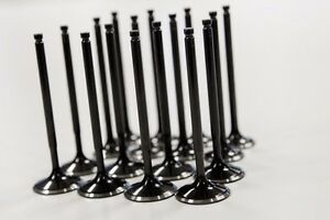 Supertech Honda H22A1/H22A4 Black Nitrided Exhaust Valve - Set of 8 - eliteracefab.com